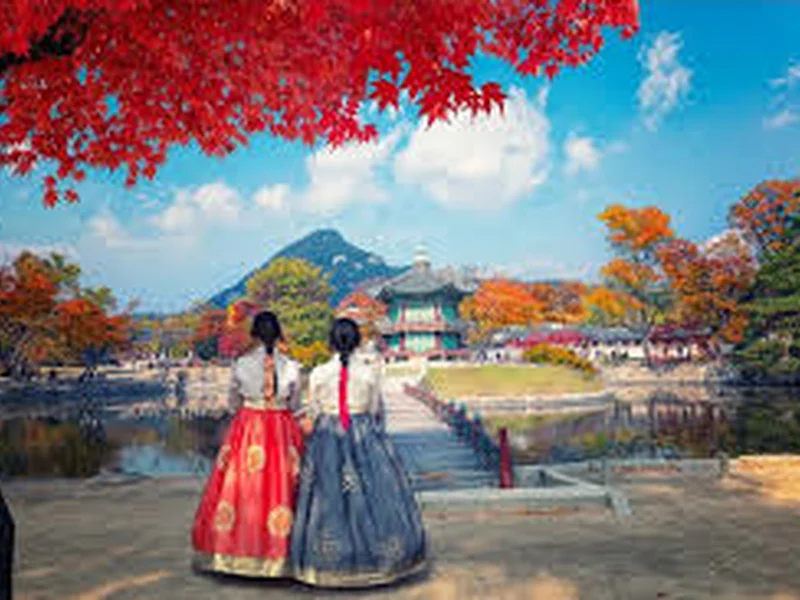 Khám Phá Seoul mùa Thu